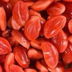 Build Your Own Jelly Filled Pick N Mix